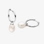 Kit Heath Revival Classic Pearl Midi Hoop Earrings 50426FP