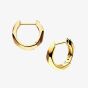 Kit Heath Glint Geo Golden Hoop Earrings 61252GRP