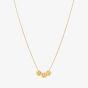 Nomination Armonica Gold Plated Three Four-Leaf Clover Necklace 241305/003