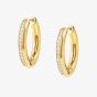 Nomination Affinity Gold Plated Hoop Earrings 028607/012