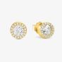 Nomination Seidivina Gold Plated Cubic Zirconia Cluster Studs Earrings 241404/012