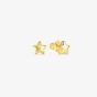 Nomination Armonica Gold Plated Star Stud Earrings 241307/009