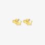 Nomination Armonica Gold Plated Star Stud Earrings 241307/009