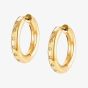 Nomination Stardust Stainless Steel Gold Plated Cubic Zirconia Hoop Earrings 028204/012