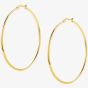Nomination Silhouette Yellow Gold Tone Hoop Earrings 028502/012