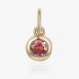 9ct Yellow Gold 0.17ct Pink Tourmaline Birthstone Bubble Charm NTCH409PTOUR-9YG