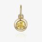 9ct Yellow Gold 0.15ct Citrine Birthstone Bubble Charm NTCH409CIT-9YG