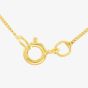 9ct Yellow Gold Cubic Zirconia Necklace 1.61.3852