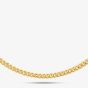 9ct Yellow Gold 20inch Light Filed Curb Chain G12FC20