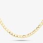 9ct Yellow Gold 22 Inch Curb Chain HC080-22