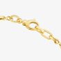 9ct Yellow Gold 7.5 Inch Figaro Chain Bracelet BBE006Y