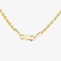 9ct Yellow Gold 16 Inch Rope Chain HLRP-220-9Y-16