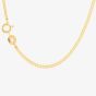 9ct Yellow Gold 18 Inch Flat Curb Chain 1.13.5864