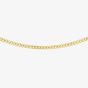 9ct Yellow Gold 20 Inch Fine Flat Curb Chain 1.13.5865