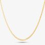 9ct Yellow Gold 20 Inch Flat Curb Chain 1.13.5865