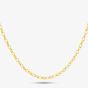 9ct Yellow Gold Oval Belcher Chain SOBD-325-9Y