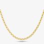 9ct Yellow Gold 20 Inch Belcher Chain HRBP-400-9Y-20