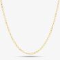 9ct Yellow Gold Round Belcher Chain SRBP-230-9Y