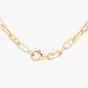 9ct Yellow Gold 18 Oval Inch Anchor Chain HPBC-290-9Y-18
