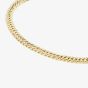 9ct Yellow Gold 8.5 Inch Flat Curb Chain Bracelet HCDC-420-9Y-8.5