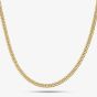 9ct Yellow Gold 20 Inch Flat Curb Chain HCDC-310-9Y-20