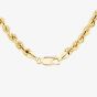 9ct Yellow Gold 18 Inch Rope Chain HLRP-420-9Y-18
