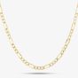 9ct Yellow Gold 20 Inch Hollow Figaro Chain HF080-20