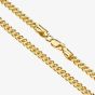 9ct Yellow Gold 18 Inch Foxtail Chain FRN060
