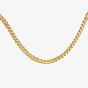 9ct Yellow Gold 18 Inch Foxtail Chain FRN060