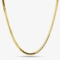 9ct Yellow Gold Flat Snake Chain HBFS-400-9Y-16-18
