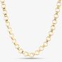 9ct Yellow Gold Circle Link Necklace GN331