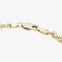 9ct Yellow Gold Prince Of Wales Chain Bracelet 10827454G