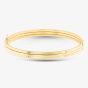 9ct Yellow Gold 3 Line Hinged Bangle 1.31.1753