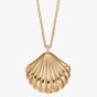 9ct Yellow Gold Shell Necklace GN349