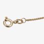 9ct Yellow Gold Spiga Chain GSP20