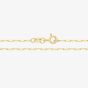 9ct Yellow Gold 10 Inch Paper Clip Chain Bracelet CH569/10