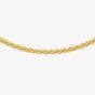 9ct Gold Mini Spiga Chain 1.10.5004