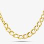 9ct Yellow Gold 18 Inch Flat Graduated Curb Chain Necklace NBE028