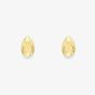 9ct Yellow Gold Pear Shape Faceted Stud Earrings 120125147550