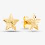 9ct Yellow Gold Star Stud Earrings 1551483