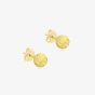 9ct Gold 4mm Faceted Ball Stud Earrings 1.55.8009