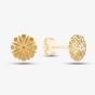 9ct Gold Satin Brushed Flower Circle Studs SE269