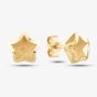 9ct Yellow Gold Satin Brushed Star Stud Earrings SE870