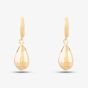 9ct Yellow Gold Teardrop Dropper Earrings ER966