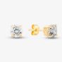9ct Yellow Gold Cubic Zirconia Stud Earrings SE605