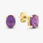9ct Yellow Gold Oval Amethyst Stud Earrings G40-5676-16