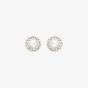 9ct Yellow Gold Freshwater Pearl and Crystal Stud Earrings 1.58.7559