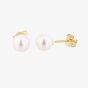 9ct 5.5 x 6mm Akoya Pearl Stud Earrings EOZ106CM