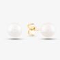 9ct 6 x 6.5mm Akoya Pearl Stud Earrings EOZ103CM