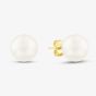 9ct 8-8.5mm Akoya Pearl Stud Earrings EOZ110CM